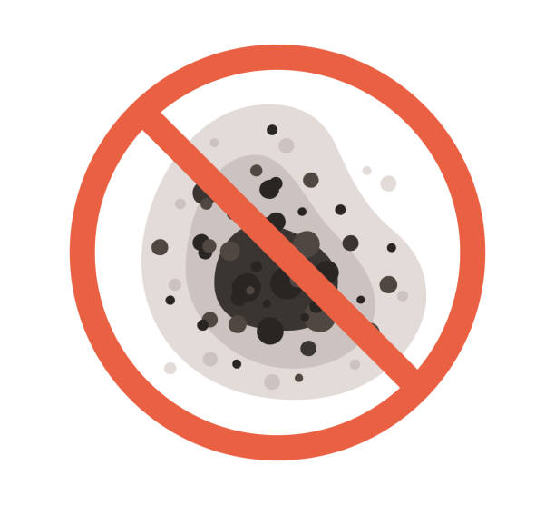 Best Mold Odor Removal Services  in Pendleton, SC