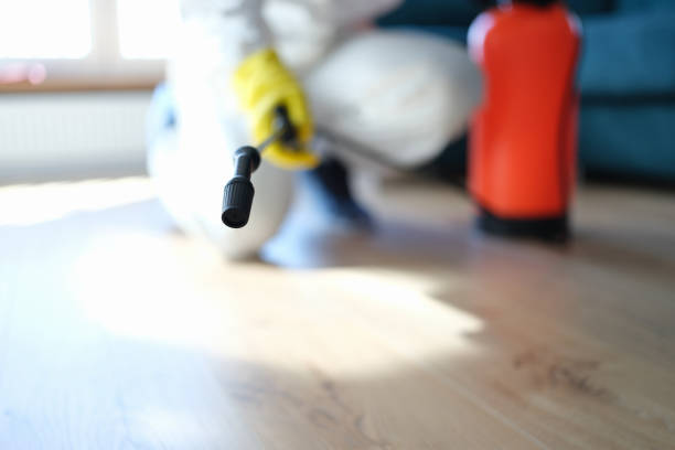 Best HVAC Mold Inspection and Cleaning  in Pendleton, SC
