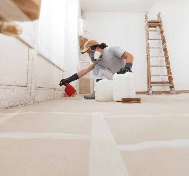 Best Airborne Mold Testing  in Pendleton, SC